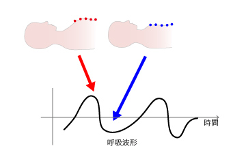 図４　呼吸波形の取得